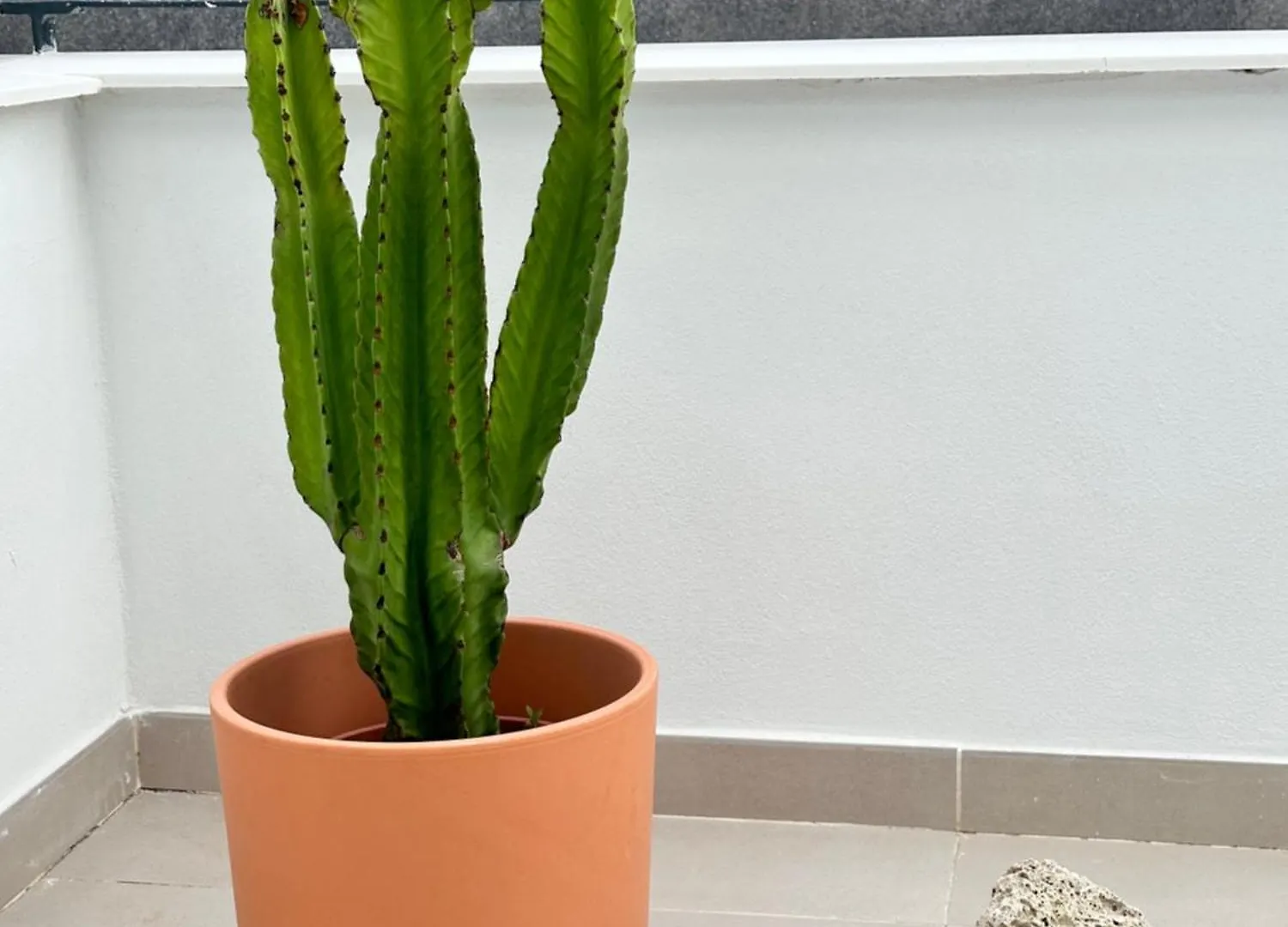 Julia Ancor Beach Abades  Appartement Abades (Tenerife)